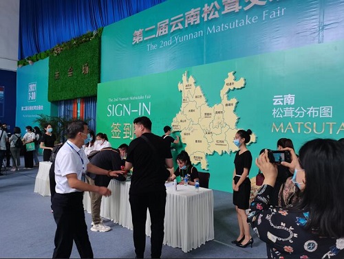 云南第二届松茸节木制展板